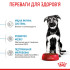 Сухий корм для цуценят ROYAL CANIN MAXI PUPPY (домашня птиця), 1 кг